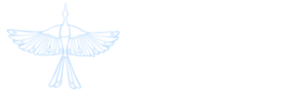 Dorchipelago zenekar